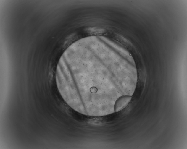 X0000083560761200703021718