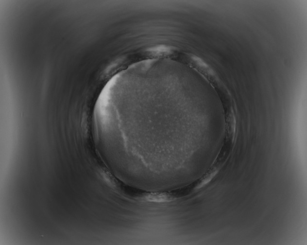 X0000083560762200703021718