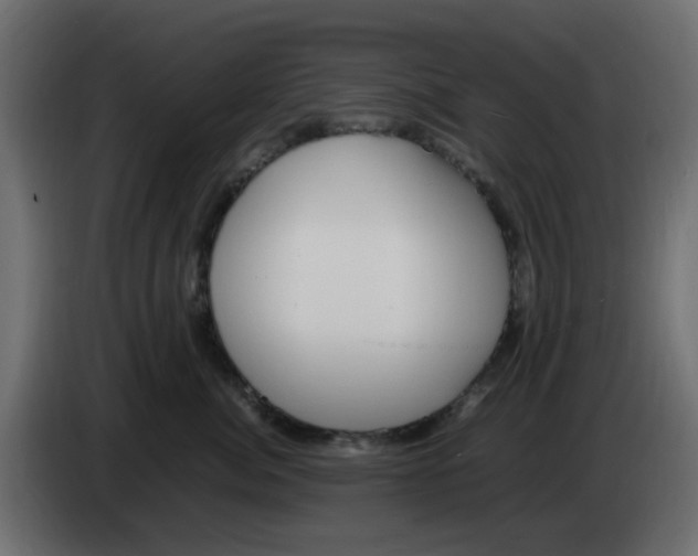 X0000083560764200703021718