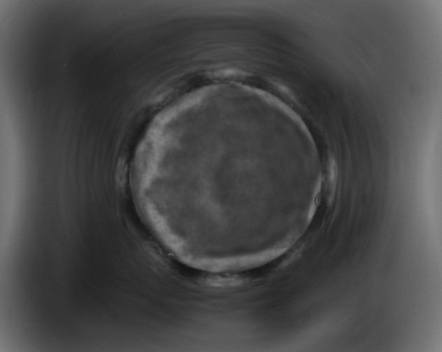 X0000083560767200703021718