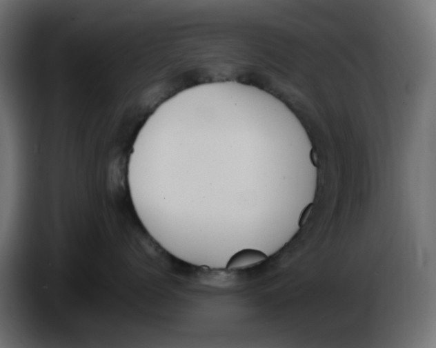 X0000083560768200703021718