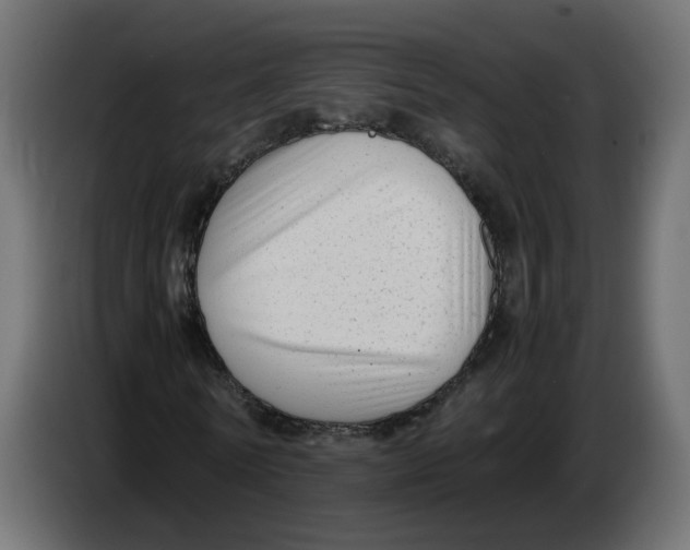 X0000083560770200703021717