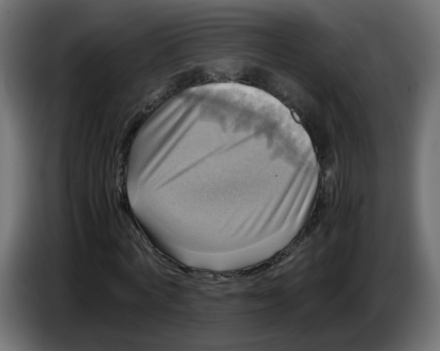 X0000083560772200703021717