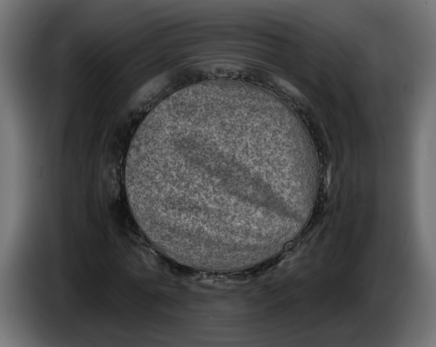 X0000083560774200703021717