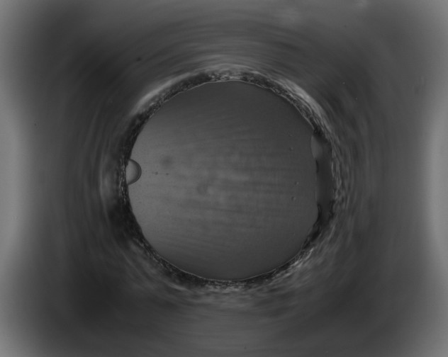 X0000083560775200703021717