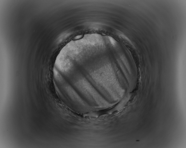 X0000083560776200703021717