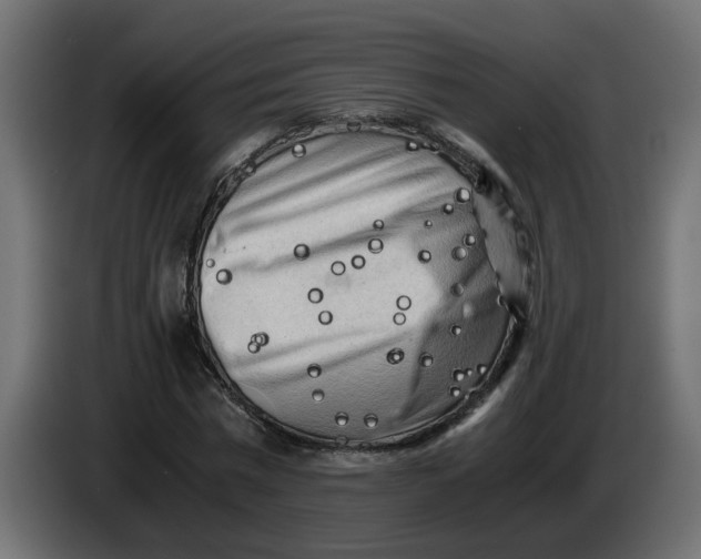 X0000083560777200703021717