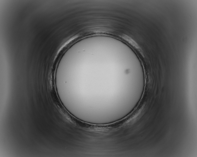 X0000083560782200703021717