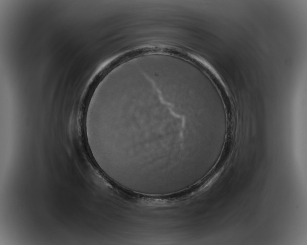 X0000083560783200703021717