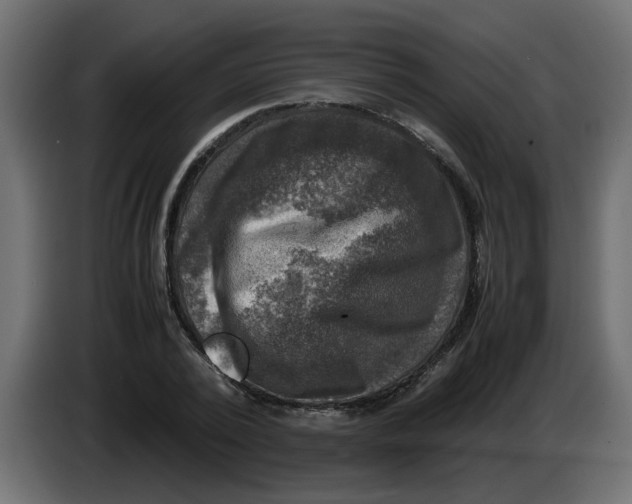 X0000083560784200703021717