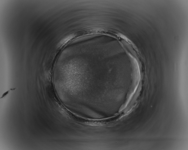 X0000083560785200703021717