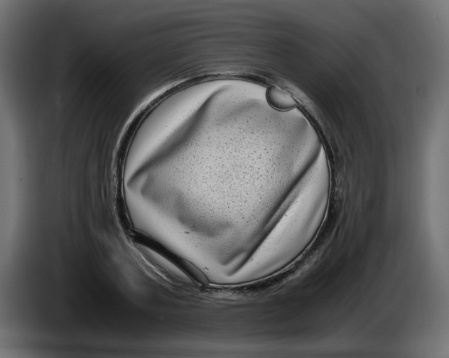 X0000083560787200703021717