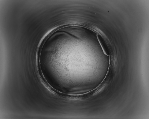 X0000083560788200703021717