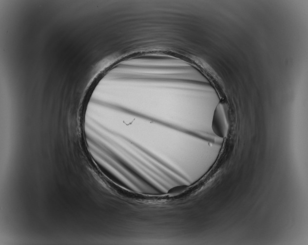 X0000083560789200703021717