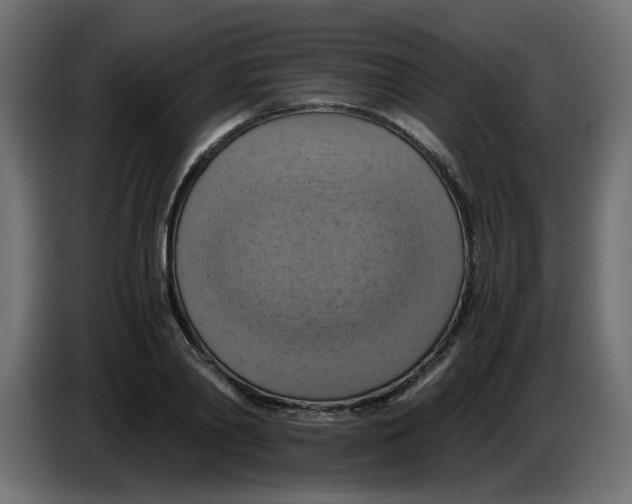 X0000083560790200703021717