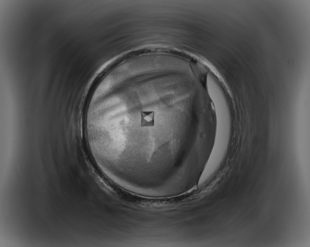 X0000083560791200703021717