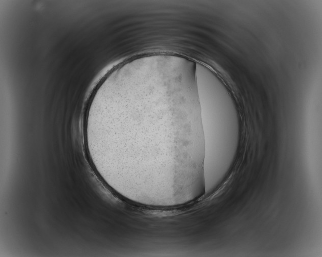 X0000083560796200703021717