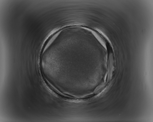 X0000083560797200703021717