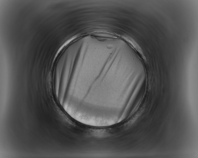 X0000083560798200703021717