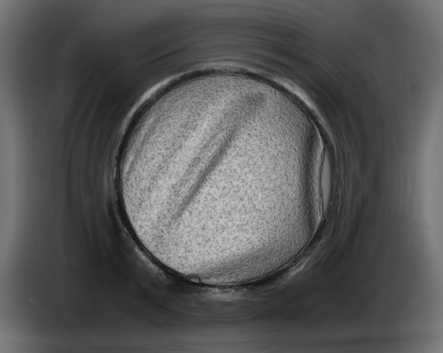 X0000083560799200703021717