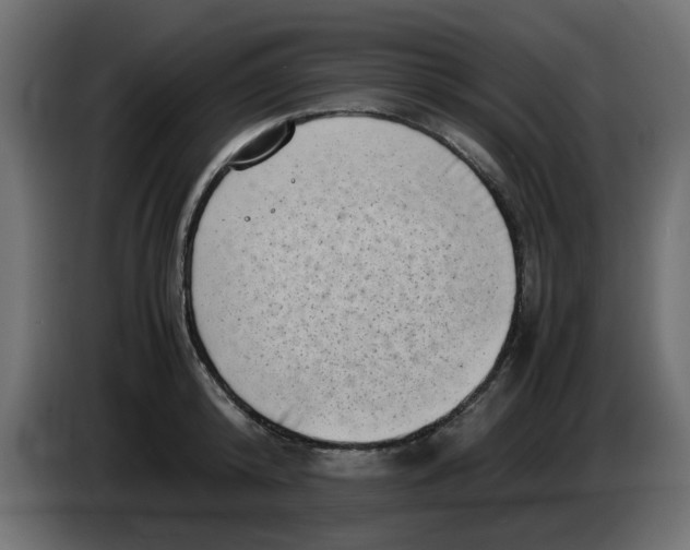 X0000083560800200703021717