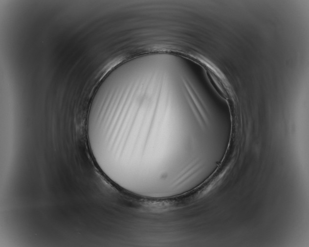 X0000083560801200703021717