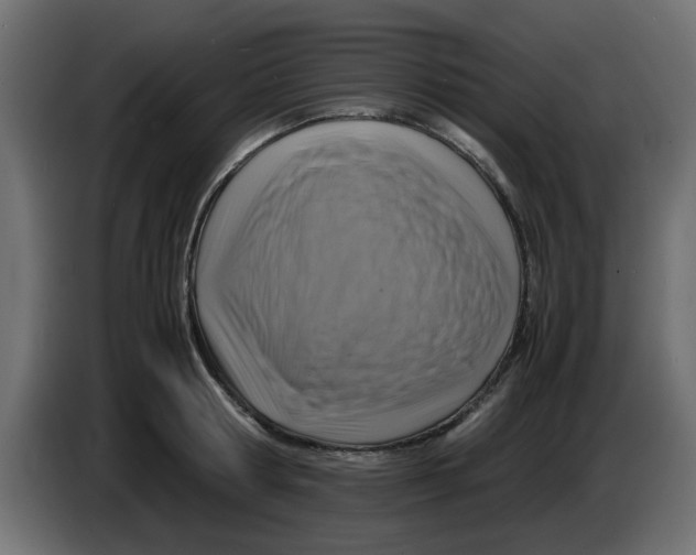 X0000083560802200703021717