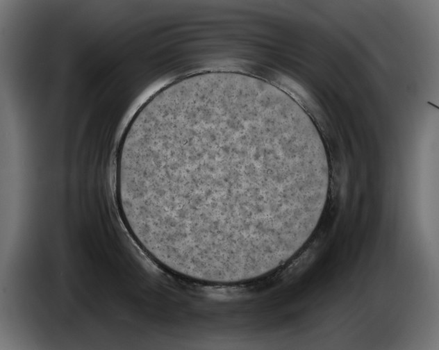 X0000083560804200703021717