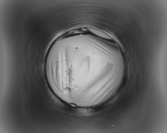 X0000083560805200703021717