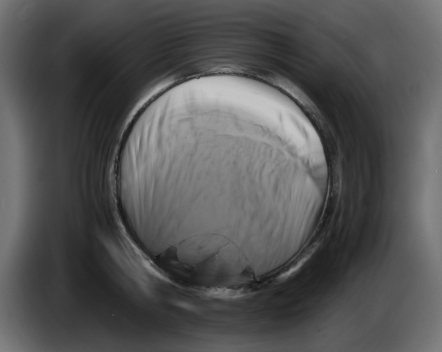 X0000083560806200703021717