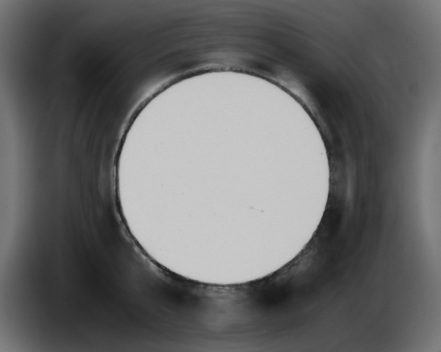 X0000083560807200703021717