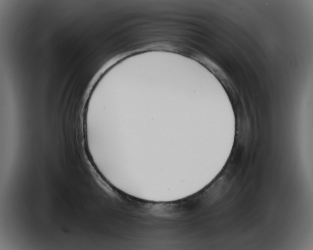 X0000083560808200703021717