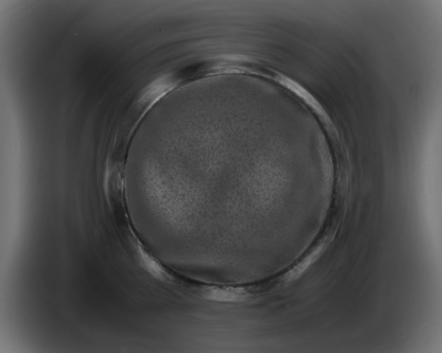 X0000083560809200703021717