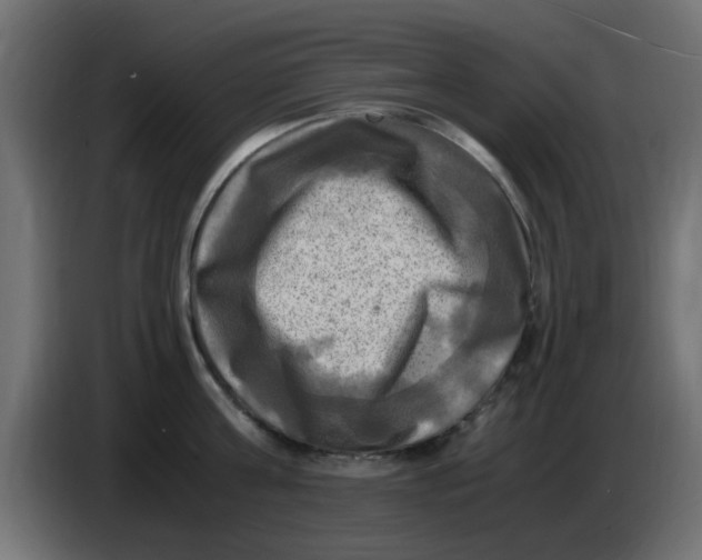 X0000083560811200703021717