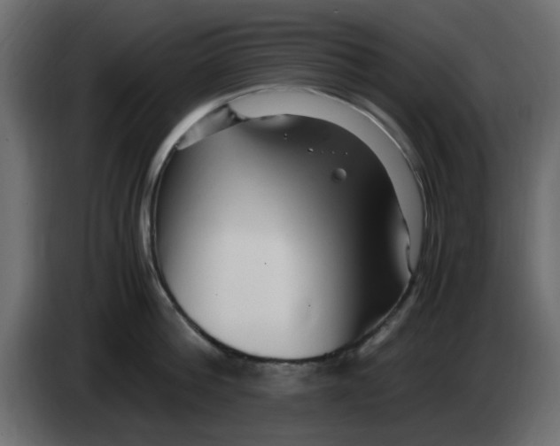 X0000083560812200703021717