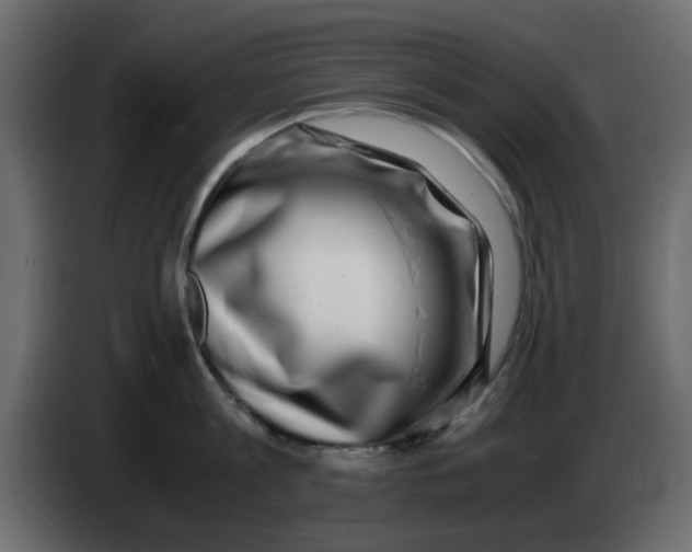 X0000083560813200703021717