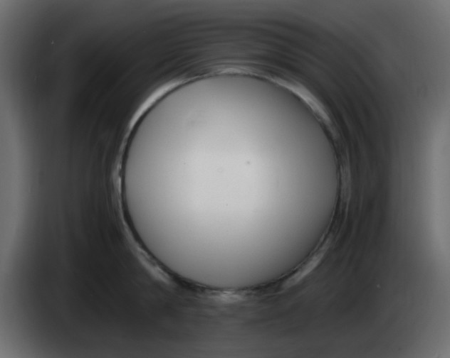 X0000083560814200703021717