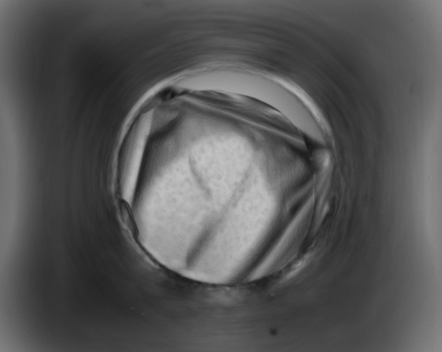 X0000083560815200703021717