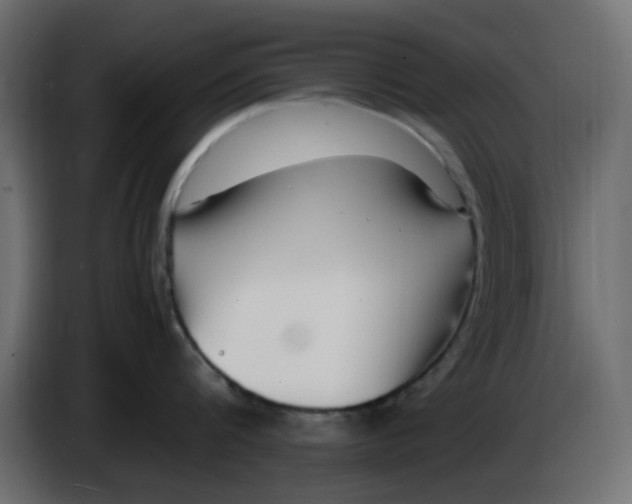 X0000083560816200703021717