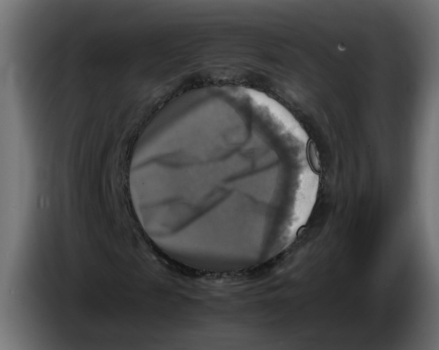 X0000083560817200703021716