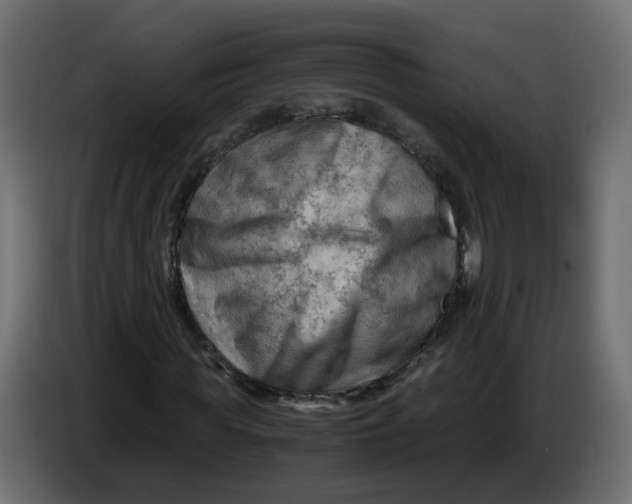 X0000083560819200703021716