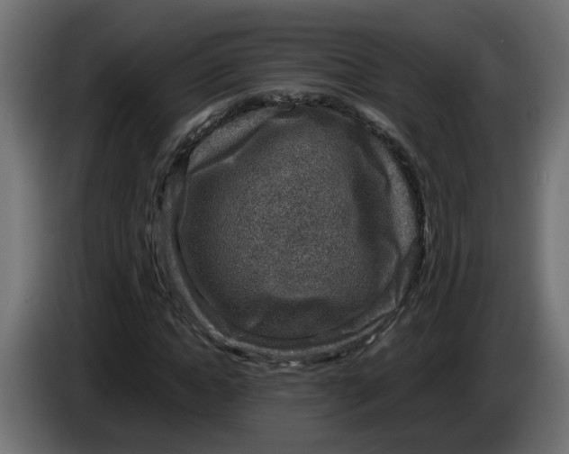 X0000083560822200703021716