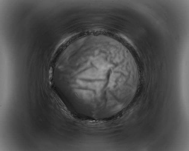 X0000083560823200703021716