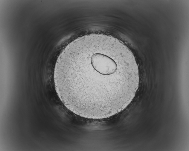 X0000083560824200703021716