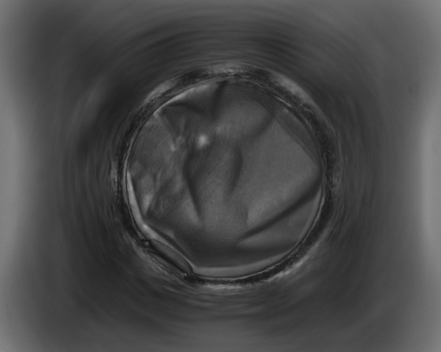 X0000083560825200703021716