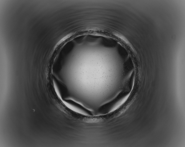 X0000083560826200703021716