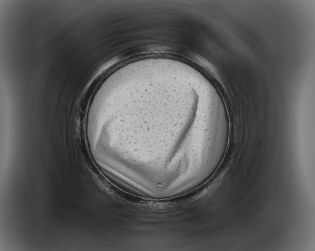 X0000083560827200703021716