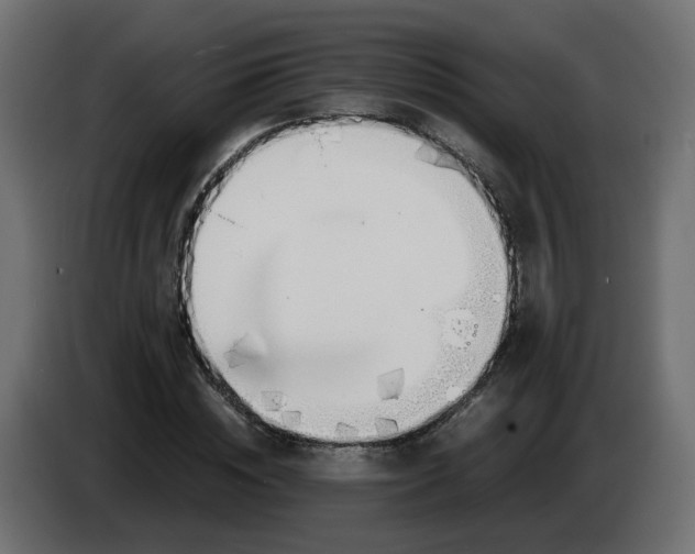 X0000083560828200703021716