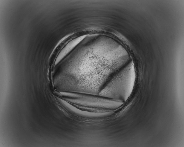 X0000083560830200703021716