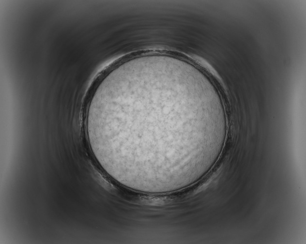 X0000083560831200703021716